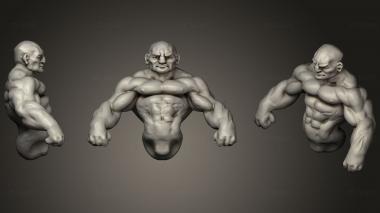 3D model Study Muscle (STL)